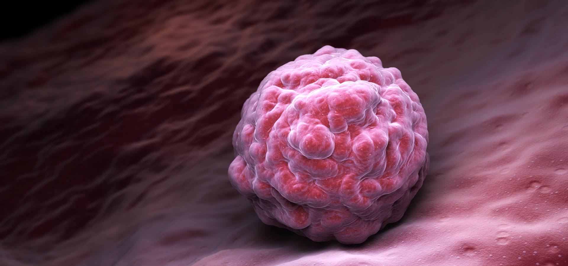 Βλαστοκύτταρα